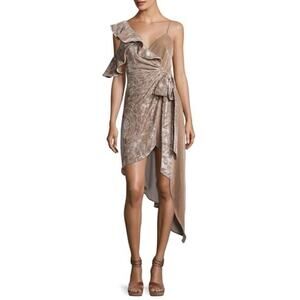 Self-Portrait Velvet Devore Wrap Dress NWT Champagne Grey Size 2
